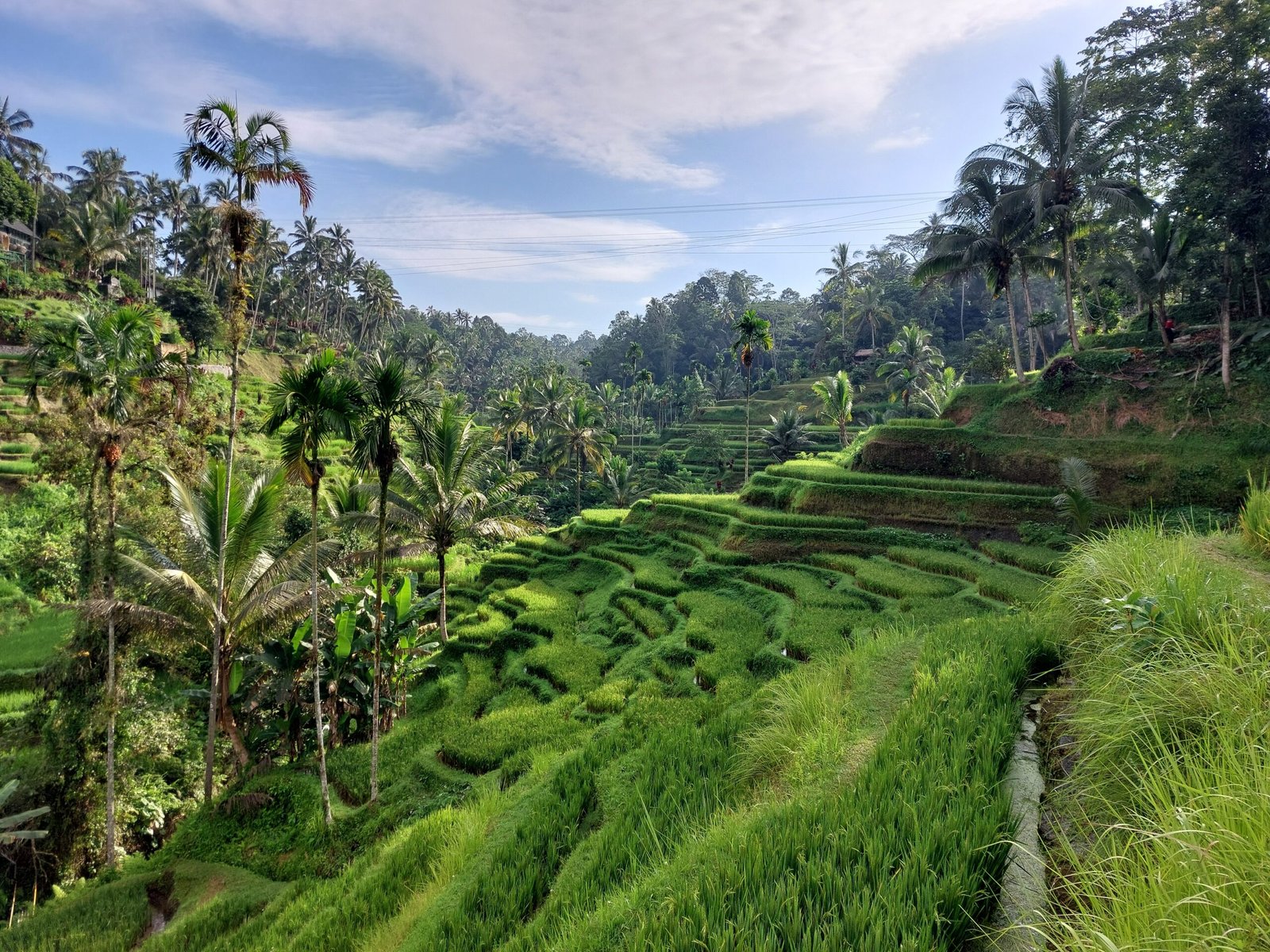 Coworking in Ubud