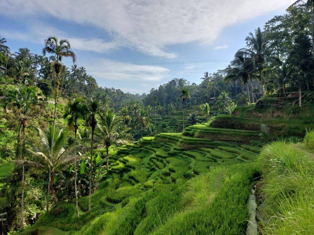 Bali, Indonesia - Friendchise