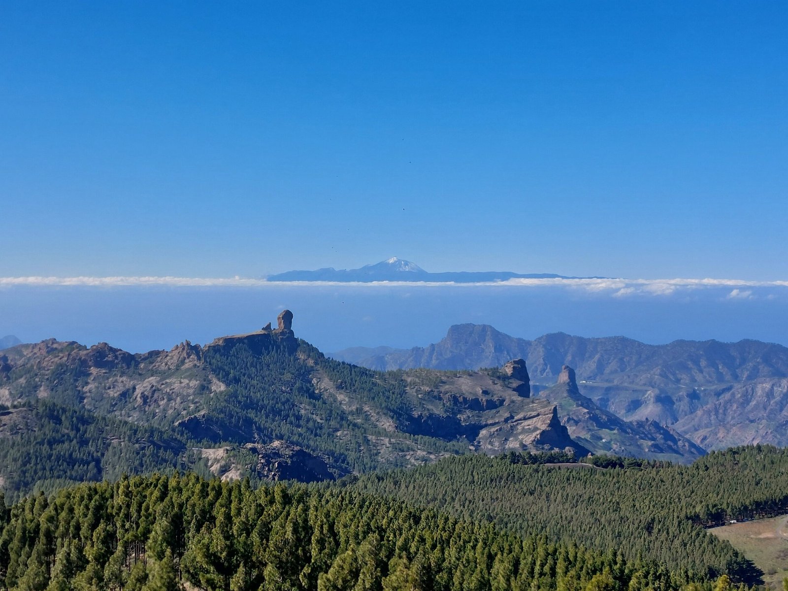 Ultimate guide to the best restaurants in Gran Canaria